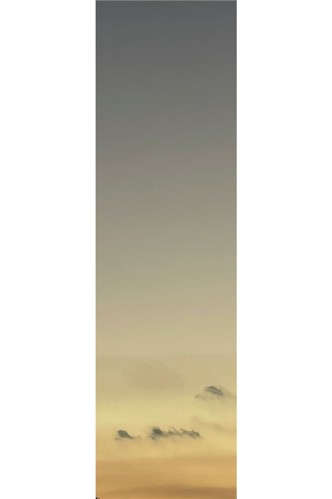 2025-10-09 175023.jpg