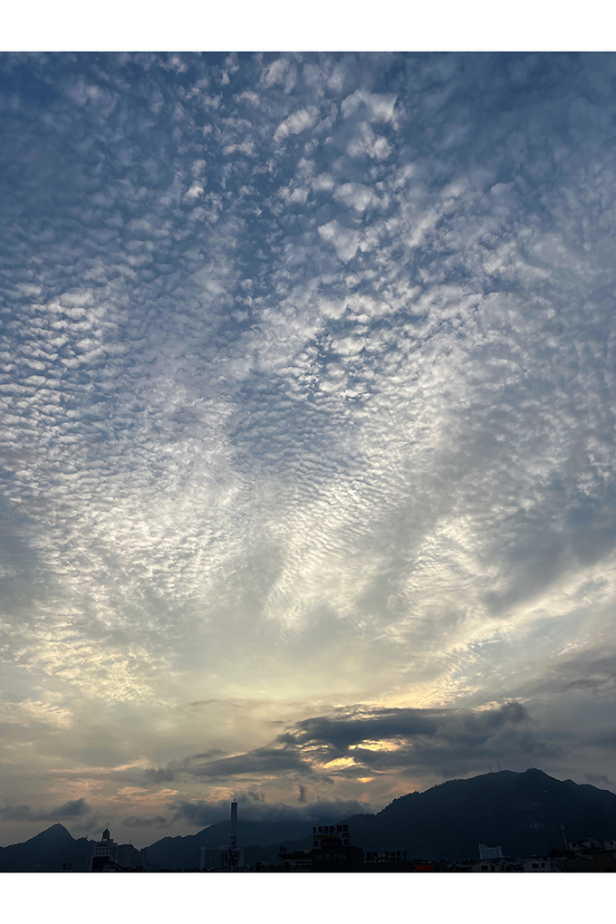2026-05-11 180421.jpg